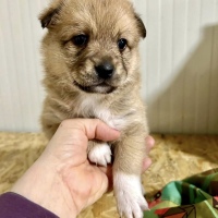 Tina ❤️ 